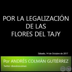POR LA LEGALIZACIN DE LAS FLORES DEL TAJY - Por ANDRS COLMN GUTIRREZ - Sbado, 14 de Octubre de 2017
